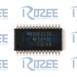 MSP430F2132IPW