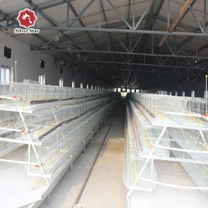 Quality A Type 3 Tiers Meat Broiler Baby Chick Cage 13 Chicks/Cell wholesale