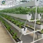 Food Grade PVC Pipe NFT Channel Hydroponic Greenhouse Eco Friendly