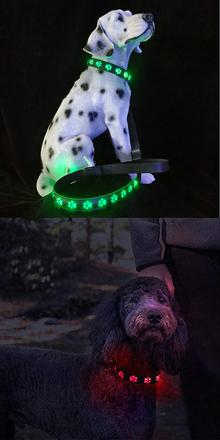 All Season LED Flashing Dog Collar Small Medium Large Illuminated Dog Collar