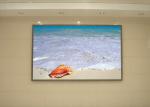 RGB SMD Advertising Indoor Fixed LED Screen 160000 dot/㎡ Density