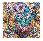 12x12inch Owl Diamond Art Painting Kits Rhinestone Crafts Painting Set For