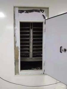 Quality Small Iqf Tunnel Freezer Double Belt Freezer 1600mm Belt 60 Min Freezing wholesale