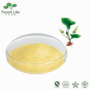 Quality Hot Selling 98% Natural Kaempferol Powder Free Sample wholesale