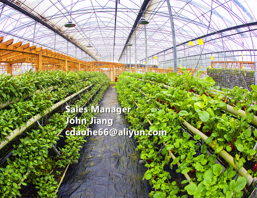 Global Grow Total Amino Acid 80% – Advanced Plant Nutrition for International Agriculture & Collaborative Farming