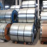 Color Prepainted Galvanized Steel Coils Turkey Dx51 Z275 Ppgi Coated Coil Black