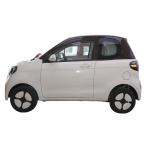 Electric Cars Electric Vehicle ConversionLittle Tiger FEV 2022 FOR-Two Little