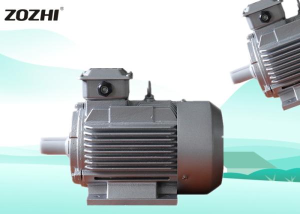Cheap Biomass Pellet Machine Three Phase AC Electric Motor F Insulation Classtion Class for sale