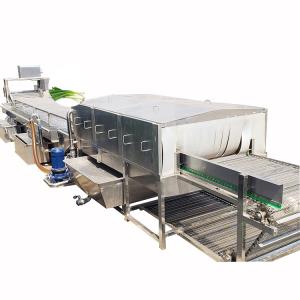 Quality French Fries Tomato Roller Bubble Washing Machine Vegetable And Fruit wholesale