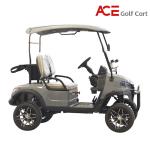 Lithium Battery Electric Hunting 2 Seater Golf Cart Buggy Car