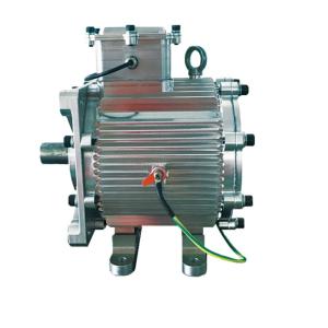 Quality 3 Phase 45KW 2500RPM 171.9Nm Brushless Ac Servo Motor wholesale
