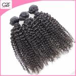 China Brazilian Hair Vendors Brazilian Bouncy Wave Tight Curly, Virgin Remy Hair