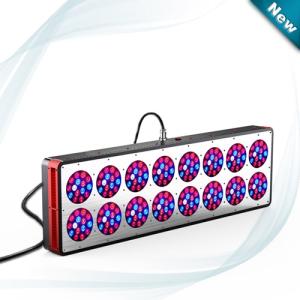 Quality New York,Los Angeles,Chicago LED Grow Lights manufacturer wholesale