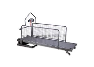Quality Folding Pet Treadmill Medical Veterinary Equipment , Rehabilitation Training Equipment wholesale