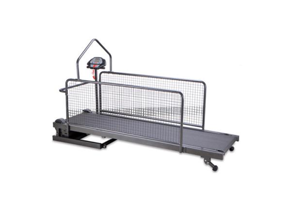Folding Pet Treadmill Medical Veterinary Equipment , Rehabilitation Training
