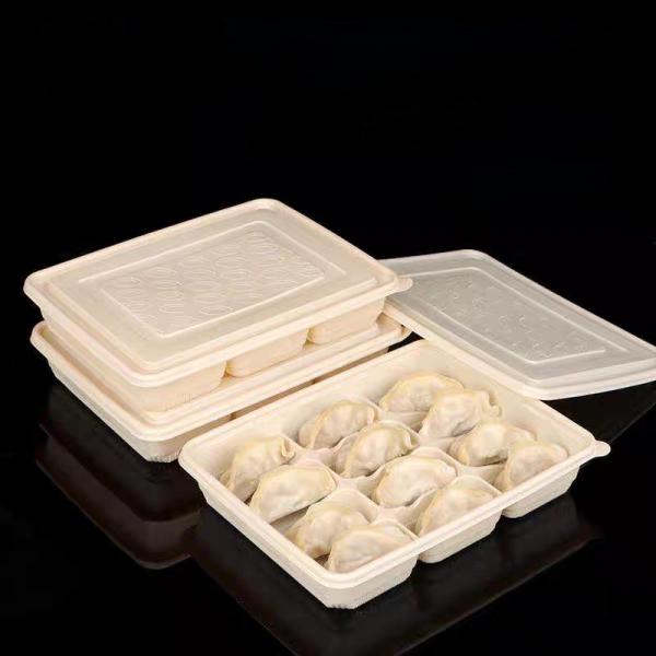 Customized Disposable Dumpling Corn Starch Frozen 12 15 Cell Dumpling Packaging