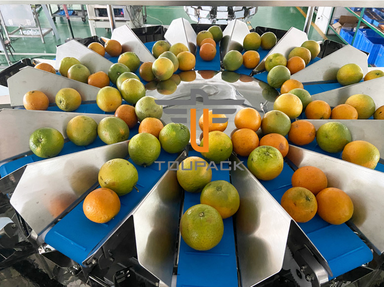 Vegetable Fruit Multihead Weigher 2-2500g 1.6L Hopper 10 Head Multihead Weigher