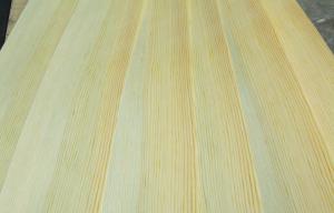 Quality 0.45 mm Yellow Pine Quarter Cut Veneer With Fine Straight Grain wholesale