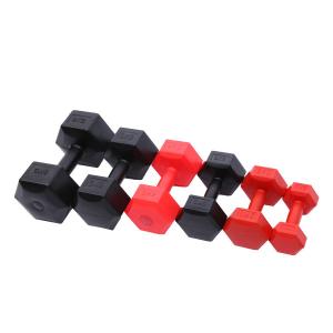 Quality OEM 10kg Plastic Cement Power Training Dumbbells Colorful wholesale