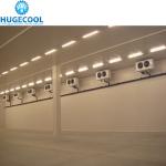 Food freezer refrigerated cold storage