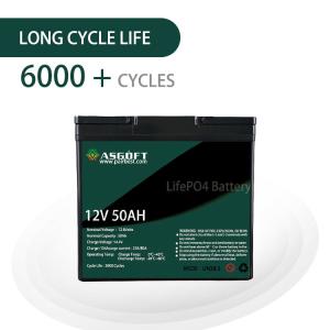 Quality Deep Cycle Solar System Batterie 12v Volts 6ah 10ah 40ah 50ah 60ah Lifepo4 Lithium Ion Battery Battery Pack wholesale