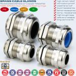 IP68 Watertight Metallic Dome Head Cable Glands Waterproof Connectors with PG &