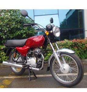 Quality 2020 Africa popular motorcycle 100cc boxer 100% of India wholesale