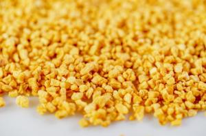 Quality Toasted 5*5mm No Heavy Metals Crispy Fried Garlic wholesale