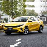 2023 2024 Top Sale 0Km Petrol Small Car Gas Powered Vehicle Electric Car 0km