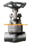 ANSI 800LB forged globe valve