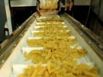 200kg/H Siemens Motor Single Screw Food Extruder For Macaroni Pasta