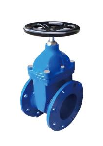 China ANSI 125 ANSI 150 Ductile Iron Strainer PN16 PN10 Cast Iron Gate Valve on sale