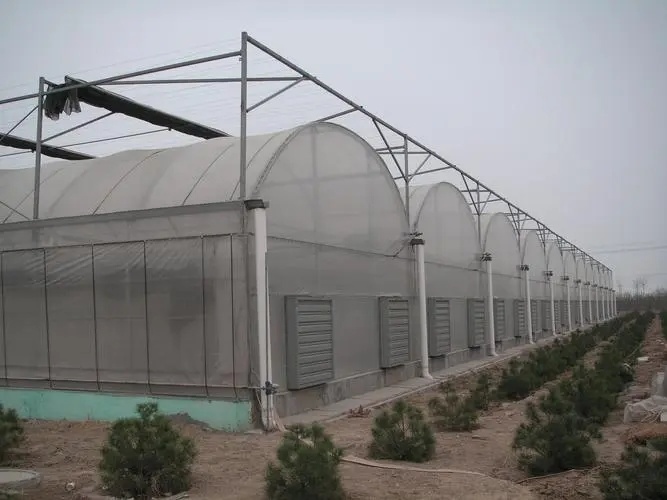 Turnkey Intelligent Glass/Polycarbnate Board Coverig Vertical Farming Greenhouse
