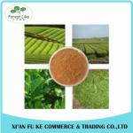 Natural Herbal Oolong Tea Extract Powder 10:1 20:1