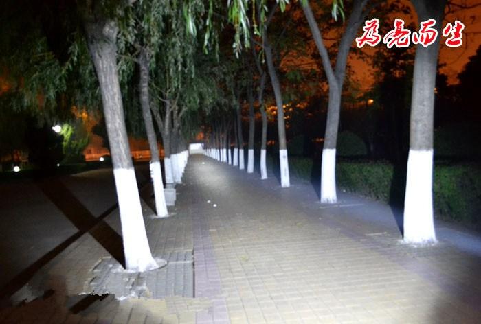 18650 Rechareable CREE C8 XML-T6 High Power 1200 Lumens LED Flashlight with 5 Modes