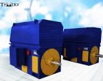 Large Scale 300r/Min TMW Brushless Synchronous Motor 10 KV IEC GB