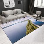 Scenic Image Customized Size Living Room Carpet 3D Area Rugs 2.2*2.8m