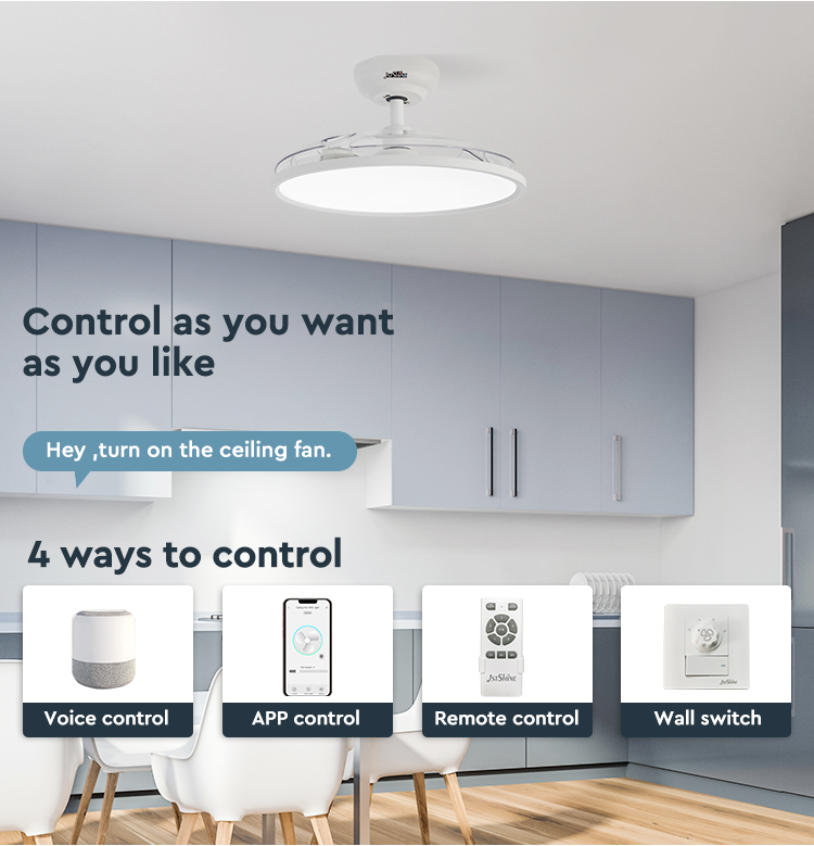 Eye Protection 42" LED Ceiling Fan with Hidden Blades and Metal Acrylic Material