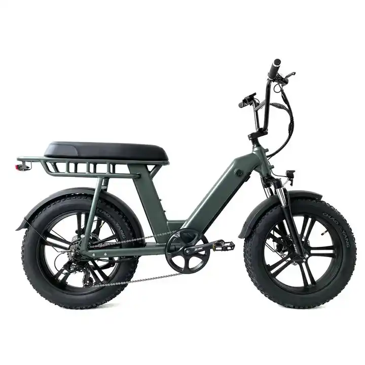 2 Wheel Electric Fat Tire Bike 48V 500W Aluminum Alloy 20 Inch Fat Tyre Electric Bike