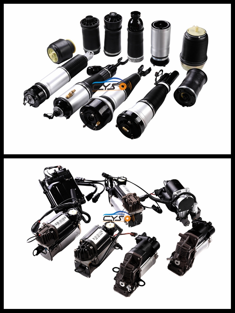 2213204913 Pneumatic Front Air Suspension Parts W221 For Mercedes S350 S500
