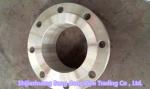 WN Flange , RF