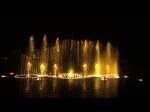 Water Floating Fountain Stainless Steel Music Control