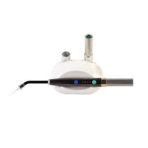 Quality Oral Therapy Low Level Diode 650NM Dental Deep Soft Tissue Laser Pen wholesale