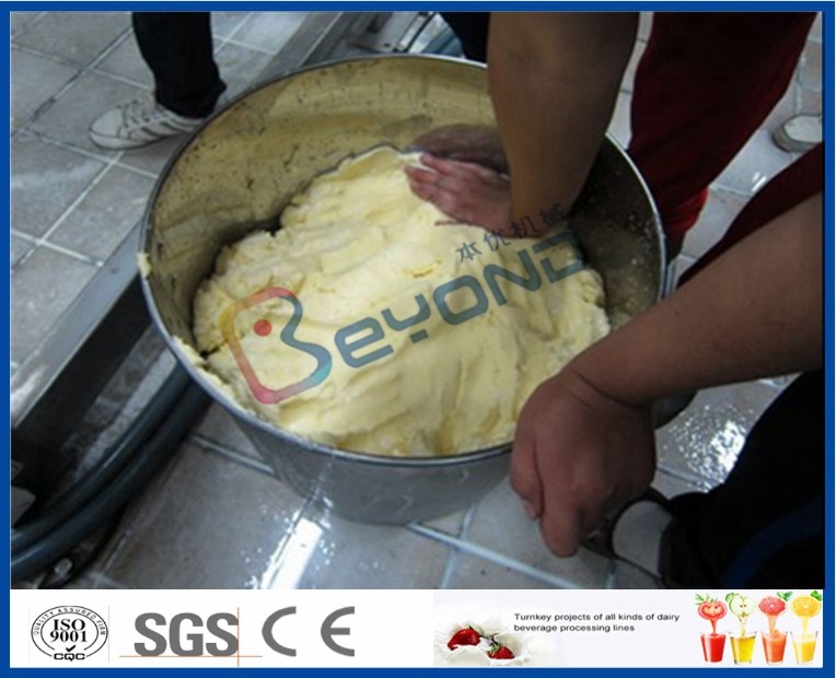 Customization Pasteurizer Milk Production Machine