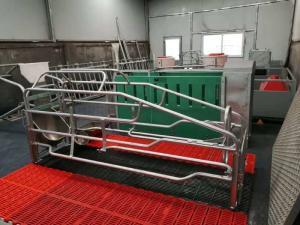 Quality Adjustable Pig Farrowing Crate wholesale