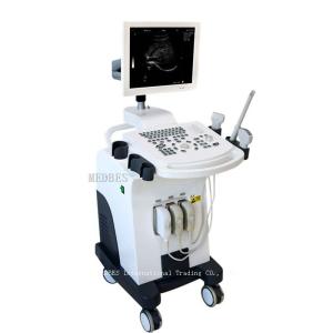 Quality Full digital hospital cheapest 4D trolley color doppler laptop portable wholesale