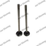 C13 Engine Spare Valve Part 252-7802 224-3030 For Carter