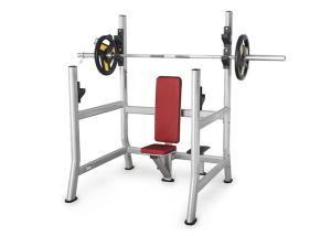 Quality Professional Gym Rack And Bench , Vertical Chest Press Weight Lifting Equipment wholesale
