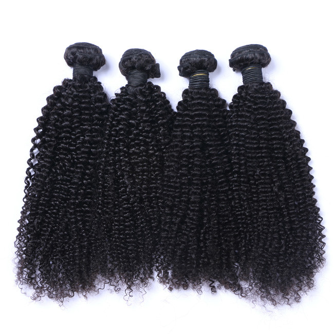 Brazilian Virgin Kinky Curly Raw Hair Bundles Cuticle Aligned 10A Grade