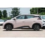 405KM Long Range Energy Car EV BYD Seagull 2023 Flying Edition Maximum torque Nm